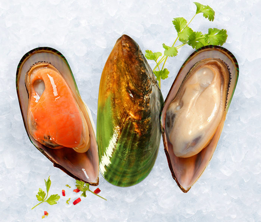 Sanford NZ Greenshell Mussels (1/2 Shell)
